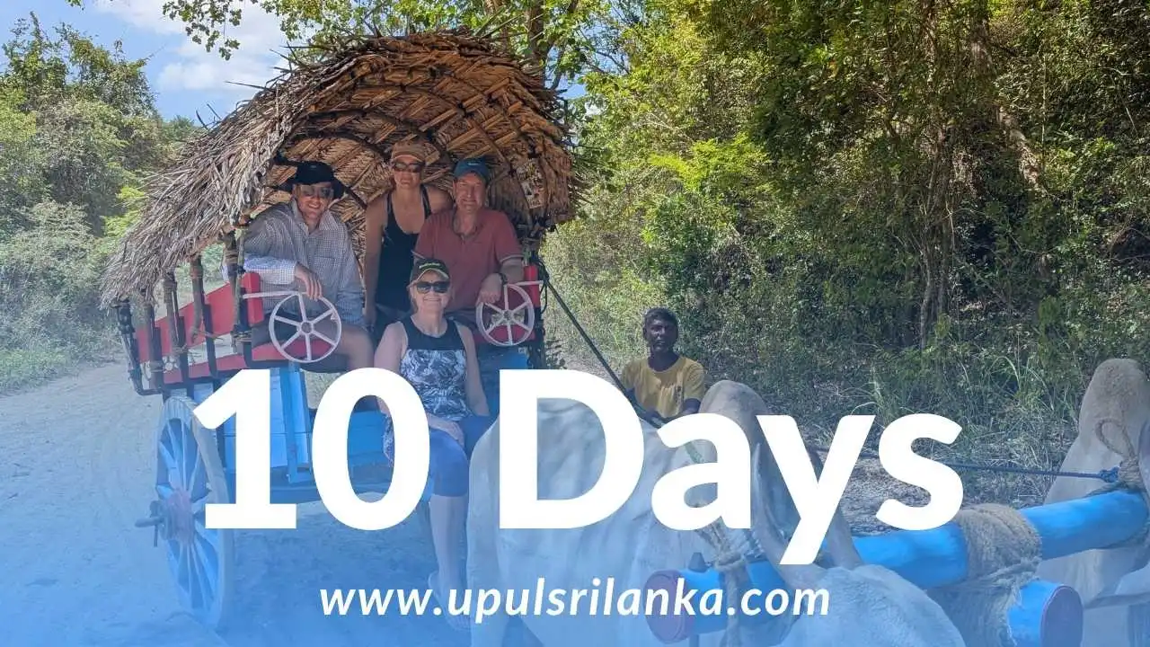 10-Day Bear, Apsara, & Beach — A Private Luxury Expedition