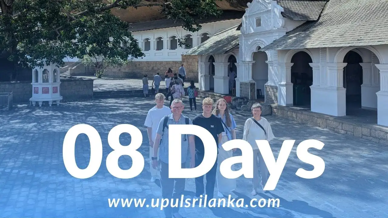 8-Day Tusker & Sea — A Luxury Heritage & Beach Escape